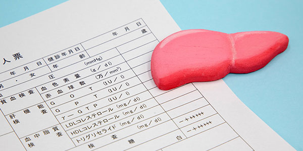 肝臓の健康診断を受けましょう